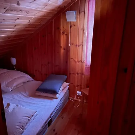 Alpehytte Ski&bike-in&out *