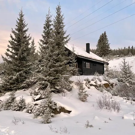 And Bike-in And Out Chalet Hafjell