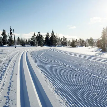 Chalé And Bike-in And Out Hafjell