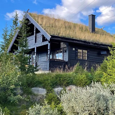 And Bike-in And Out Chalet Hafjell