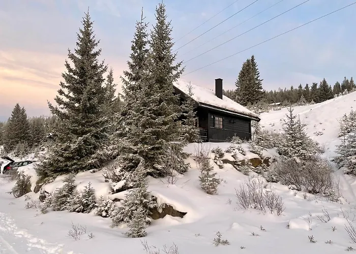 And Bike-in And Out Chalet Hafjell