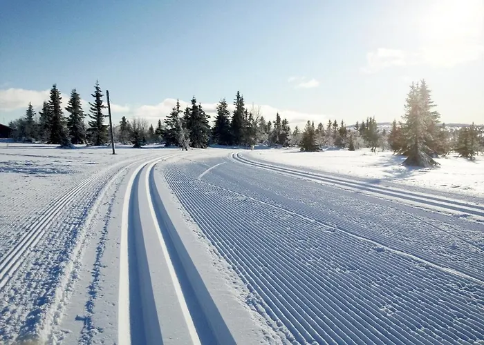 Chalet And Bike-in And Out Hafjell
